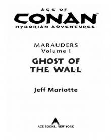Ghost of the Wall