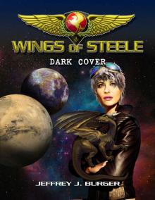 Wings of Steele 4: Dark Cover Wings of Steele 4: Dark Cover