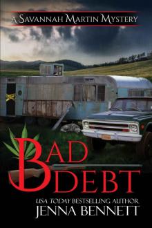 Bad Debt (Savannah Martin Mysteries Book 14)