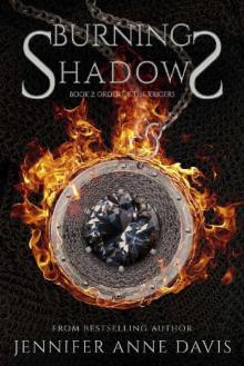 Burning Shadows