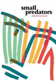 Small Predators Small Predators