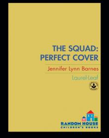 Perfect Cover Perfect Cover