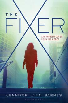 The Fixer The Fixer
