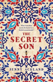 The Secret Son The Secret Son