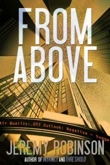 FROM ABOVE - A Novella FROM ABOVE - A Novella