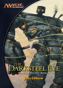 The Darksteel Eye The Darksteel Eye