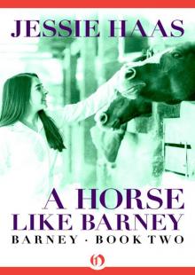A Horse like Barney A Horse like Barney