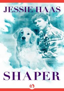Shaper