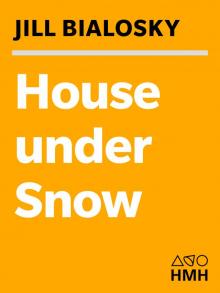 House Under Snow House Under Snow