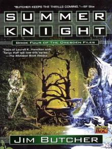 The Dresden Files 4: Summer Knight