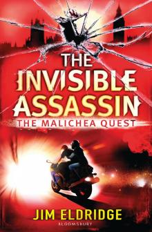 The Invisible Assassin The Invisible Assassin