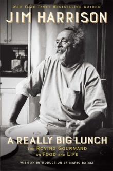 A Really Big Lunch: Meditations on Food and Life From the Roving Gourmand