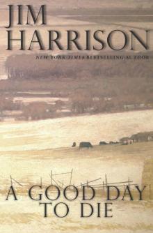 Good Day to Die