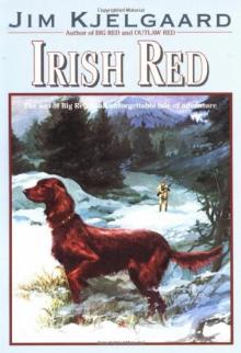 Irish Red Irish Red