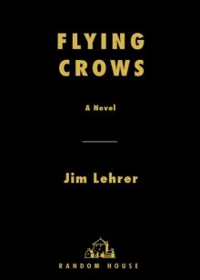 Flying Crows Flying Crows