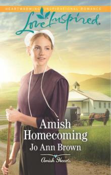 Amish Homecoming Amish Homecoming