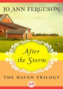 After the Storm After the Storm