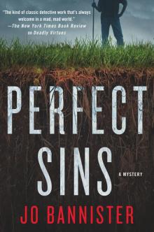Perfect Sins