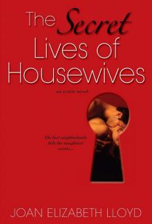 The Secret Lives of Housewives