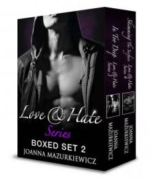 Love & Hate Series Box Set 2 - In Too Deep - Skimming the Surface