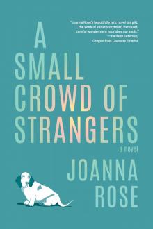 A Small Crowd of Strangers A Small Crowd of Strangers