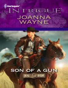 Son of a Gun