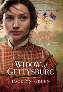 Widow of Gettysburg (Heroines Behind the Lines) Widow of Gettysburg (Heroines Behind the Lines)