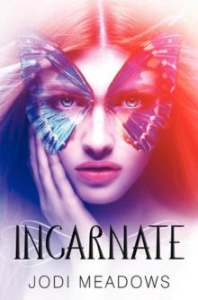 Incarnate n-1