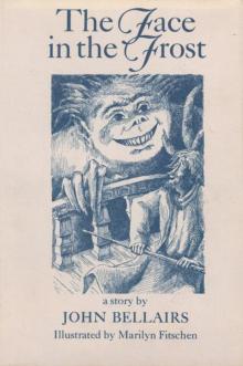 The Face in the Frost