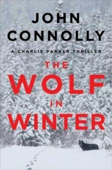 The Wolf in Winter (2014) The Wolf in Winter (2014)