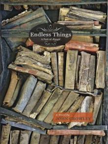 Endless Things: A Part of AEgypt Endless Things: A Part of AEgypt