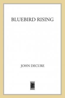 Bluebird Rising