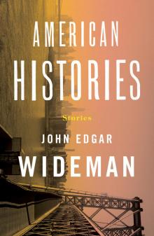American Histories American Histories