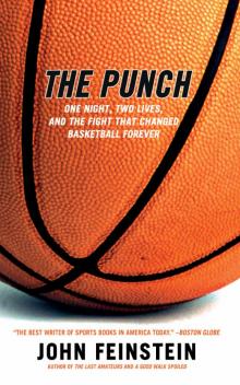 The Punch The Punch