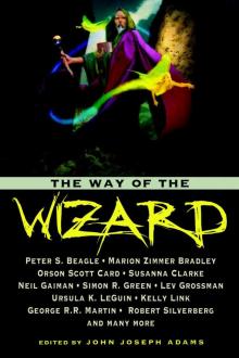 The Way of the Wizard The Way of the Wizard