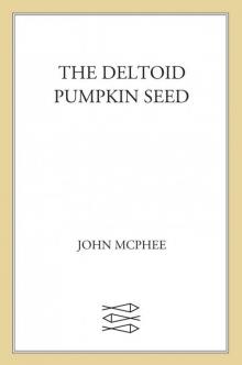The Deltoid Pumpkin Seed