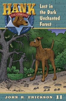 Lost in the Dark Unchanted Forest Lost in the Dark Unchanted Forest