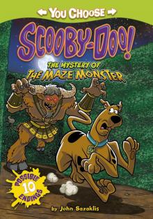 The Mystery of the Maze Monster The Mystery of the Maze Monster