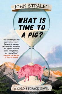 What Is Time to a Pig? What Is Time to a Pig?