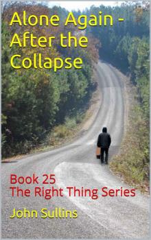 Alone Again_After the Collapse Alone Again_After the Collapse