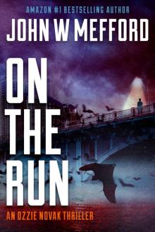 ON The Run (An Ozzie Novak Thriller, Book 6) (Redemption Thriller Series 18)