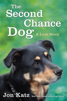 The Second-Chance Dog