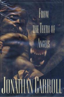From the Teeth of Angels From the Teeth of Angels