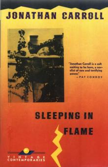 Sleeping in Flame Sleeping in Flame