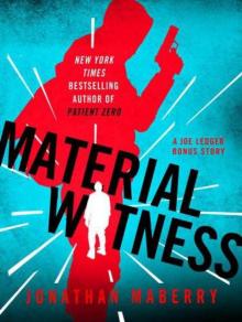Joe Ledger 2.10 - Material Witness (a joe ledger novel)
