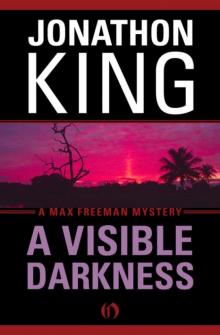 A Visible Darkness A Visible Darkness