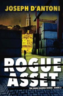 Rogue Asset (Book 3 of the Wade Hanna Series) Rogue Asset (Book 3 of the Wade Hanna Series)
