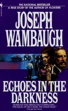 Echoes in the Darkness