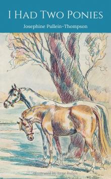 I Had Two Ponies I Had Two Ponies