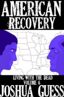 American Recovery American Recovery